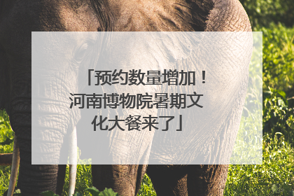 预约数量增加！河南博物院暑期文化大餐来了