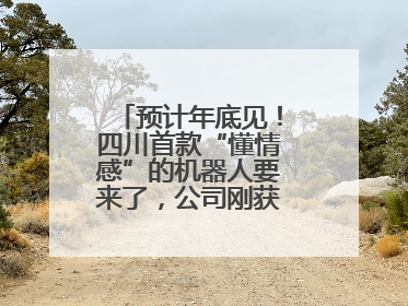 预计年底见！四川首款“懂情感”的机器人要来了，公司刚获数千万元融资