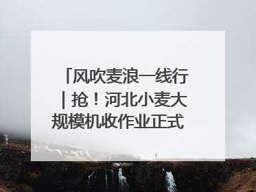 风吹麦浪一线行｜抢！河北小麦大规模机收作业正式拉开帷幕