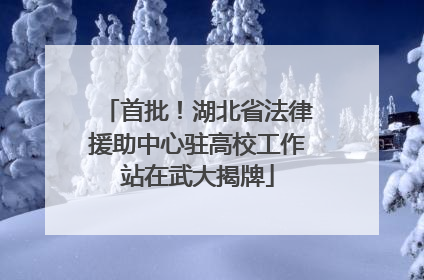 首批！湖北省法律援助中心驻高校工作站在武大揭牌