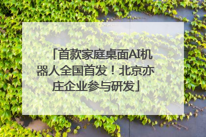 首款家庭桌面AI机器人全国首发！北京亦庄企业参与研发