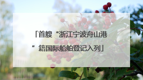 首艘“浙江宁波舟山港”籍国际船舶登记入列