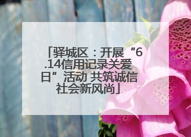 驿城区：开展“6.14信用记录关爱日”活动 共筑诚信社会新风尚