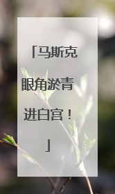 马斯克眼角淤青进白宫！