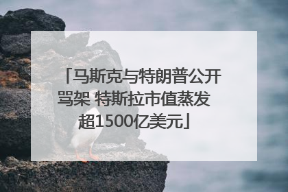 马斯克与特朗普公开骂架 特斯拉市值蒸发超1500亿美元