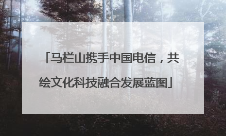 马栏山携手中国电信，共绘文化科技融合发展蓝图