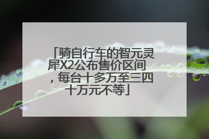 骑自行车的智元灵犀X2公布售价区间，每台十多万至三四十万元不等