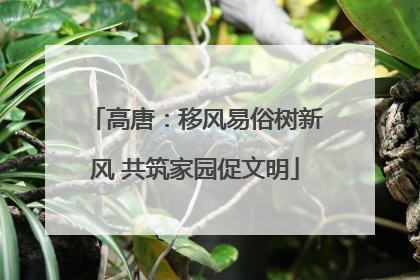 高唐：移风易俗树新风 共筑家园促文明