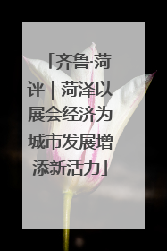 齐鲁·菏评｜菏泽以展会经济为城市发展增添新活力