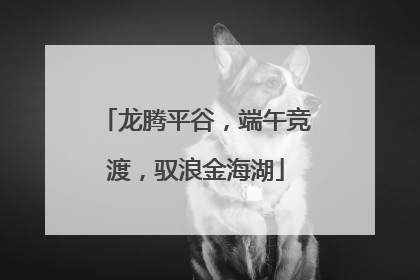 龙腾平谷，端午竞渡，驭浪金海湖