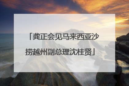 龚正会见马来西亚沙捞越州副总理沈桂贤