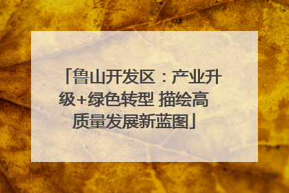 鲁山开发区：产业升级+绿色转型 描绘高质量发展新蓝图