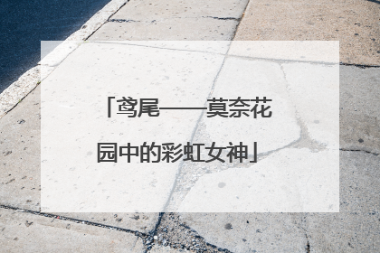 鸢尾——莫奈花园中的彩虹女神