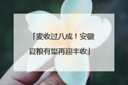 麦收过八成！安徽夏粮有望再迎丰收