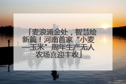 麦浪涌金处，智慧绘新篇！河南首家“小麦—玉米”周年生产无人农场喜迎丰收