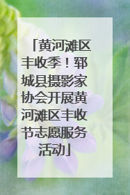 黄河滩区丰收季！郓城县摄影家协会开展黄河滩区丰收节志愿服务活动