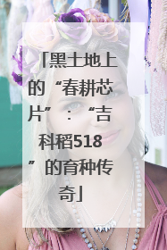 黑土地上的“春耕芯片”：“吉科稻518”的育种传奇