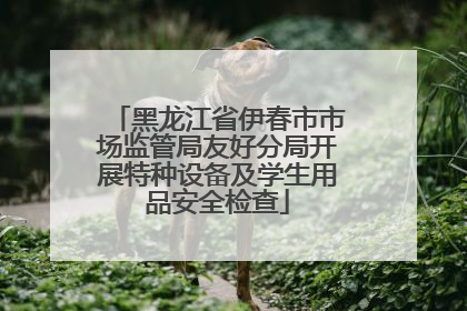 黑龙江省伊春市市场监管局友好分局开展特种设备及学生用品安全检查