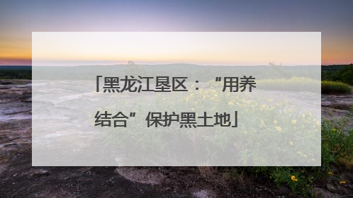 黑龙江垦区：“用养结合”保护黑土地