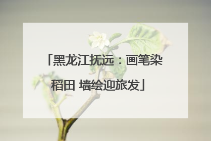 黑龙江抚远：画笔染稻田 墙绘迎旅发