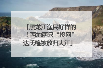 黑龙江渔民好样的！两地两只“投网”达氏鳇被放归大江
