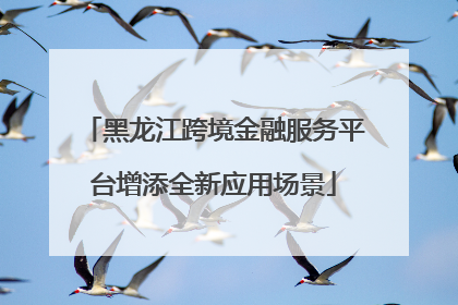 黑龙江跨境金融服务平台增添全新应用场景