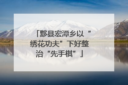 黟县宏潭乡以“绣花功夫”下好整治“先手棋”