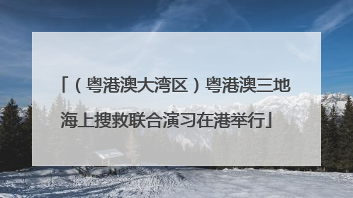 （粤港澳大湾区）粤港澳三地海上搜救联合演习在港举行
