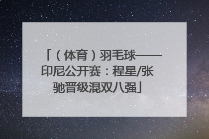 （体育）羽毛球——印尼公开赛：程星/张驰晋级混双八强