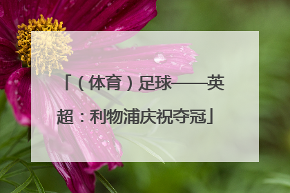 （体育）足球——英超：利物浦庆祝夺冠
