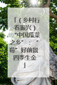 （乡村行·看振兴）“中国瓜菜之乡”：“莓”好前景 四季生金