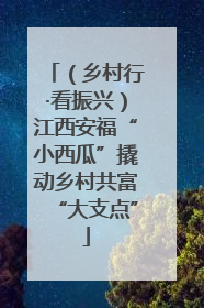 （乡村行·看振兴）江西安福“小西瓜”撬动乡村共富“大支点”