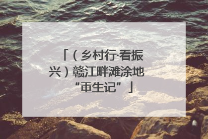 （乡村行·看振兴）赣江畔滩涂地“重生记”