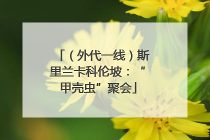 （外代一线）斯里兰卡科伦坡：“甲壳虫”聚会