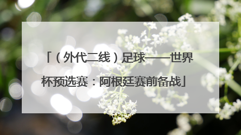 （外代二线）足球——世界杯预选赛：阿根廷赛前备战