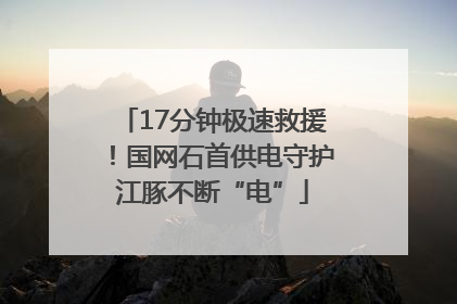17分钟极速救援！国网石首供电守护江豚不断“电”