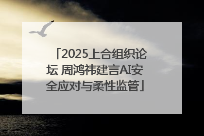 2025上合组织论坛 周鸿祎建言AI安全应对与柔性监管