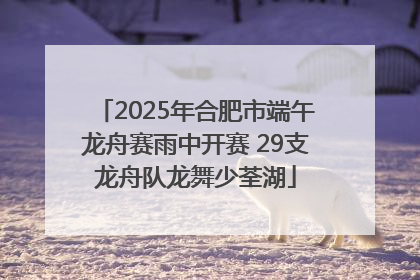 2025年合肥市端午龙舟赛雨中开赛 29支龙舟队龙舞少荃湖