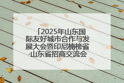 2025年山东国际友好城市合作与发展大会暨印尼楠榜省·山东省招商交流会在济南槐荫举行