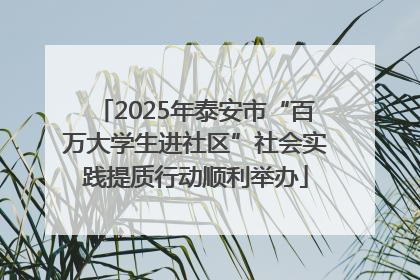 2025年泰安市“百万大学生进社区”社会实践提质行动顺利举办