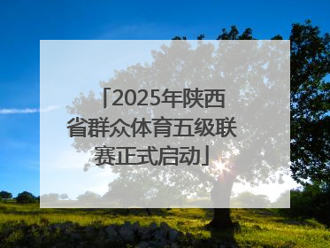 2025年陕西省群众体育五级联赛正式启动