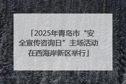 2025年青岛市“安全宣传咨询日”主场活动在西海岸新区举行