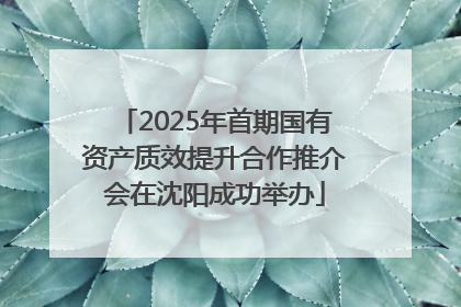 2025年首期国有资产质效提升合作推介会在沈阳成功举办