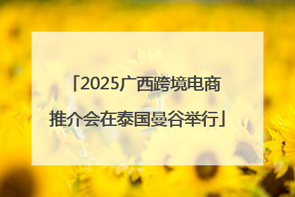 2025广西跨境电商推介会在泰国曼谷举行