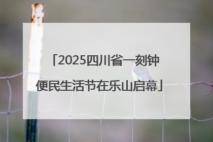 2025四川省一刻钟便民生活节在乐山启幕