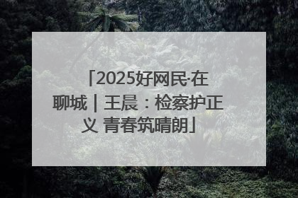 2025好网民·在聊城｜王晨：检察护正义 青春筑晴朗