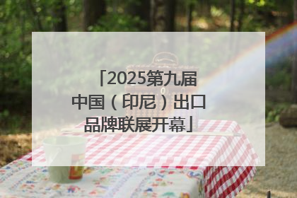 2025第九届中国（印尼）出口品牌联展开幕