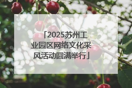 2025苏州工业园区网络文化采风活动圆满举行