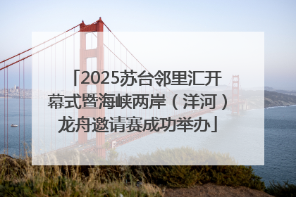 2025苏台邻里汇开幕式暨海峡两岸（洋河）龙舟邀请赛成功举办