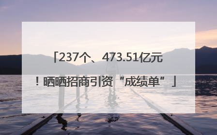 237个、473.51亿元！晒晒招商引资“成绩单”
